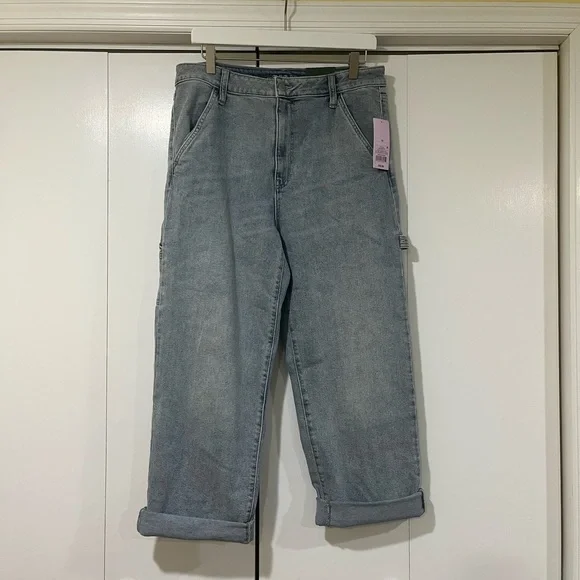 NWT Target brand Wild Fable carpenter jeans